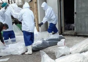 Sweeping arrests in Iran for reporting the truth on Coronavirus outbreak